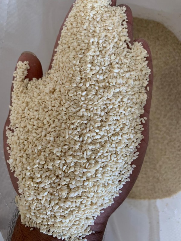 Sesame Seeds - Hulled/Natural/Black from India
